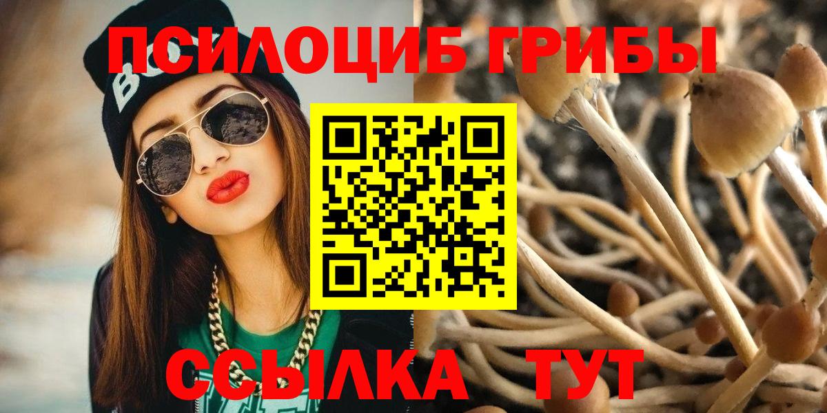 Галлюциногенные грибы MAGIC MUSHROOMS  Вход с VPN  Галлюциногенные грибы Psilocybine cubensis  Саранск 